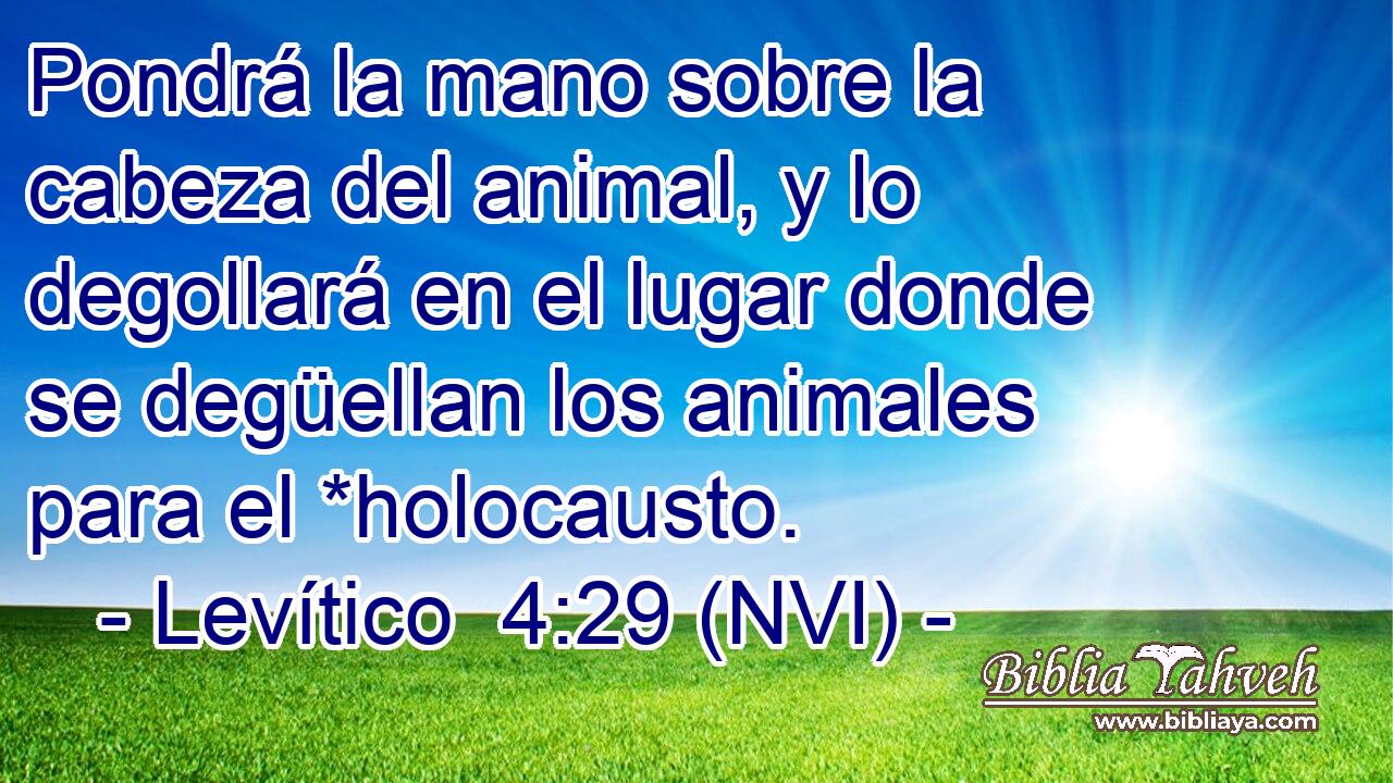  Pondrá la mano sobre la cabeza del animal, y lo degollará en el lugar donde se degüellan los animales para el *holocausto. 