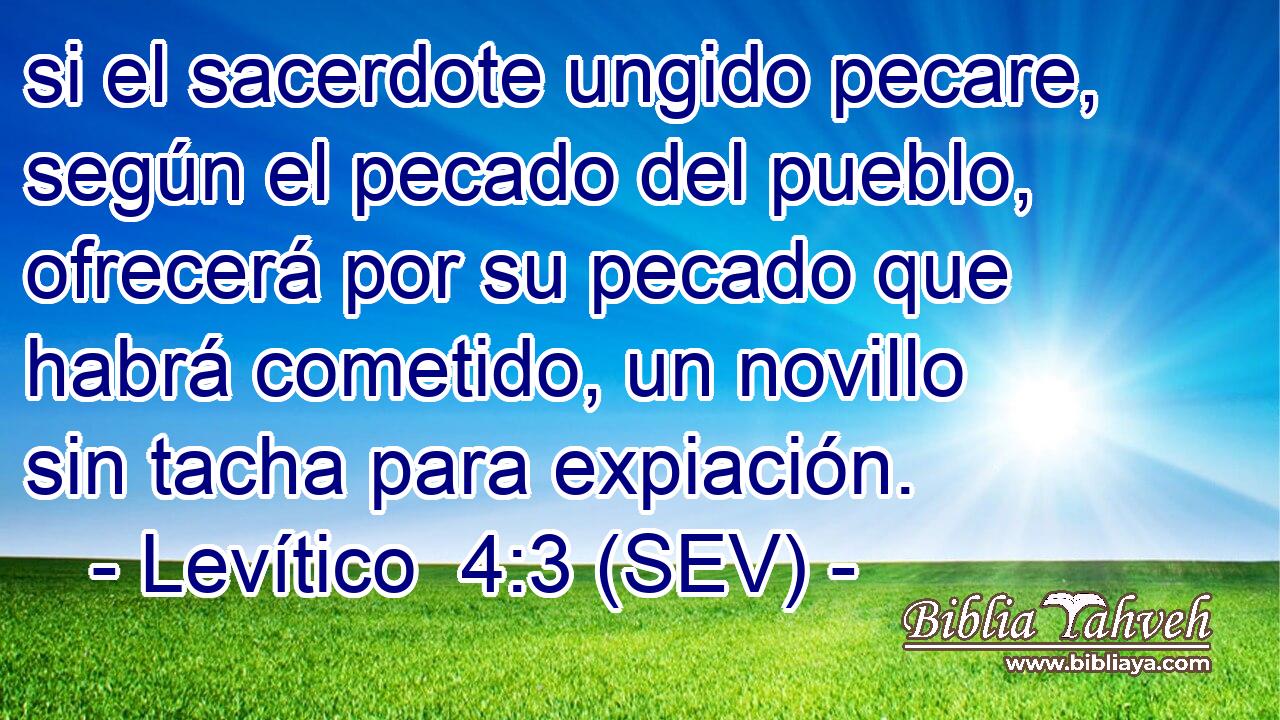 si el sacerdote ungido pecare, según el pecado del pueblo, ofrecerá por su pecado que habrá cometido, un novillo sin tacha para expiación.