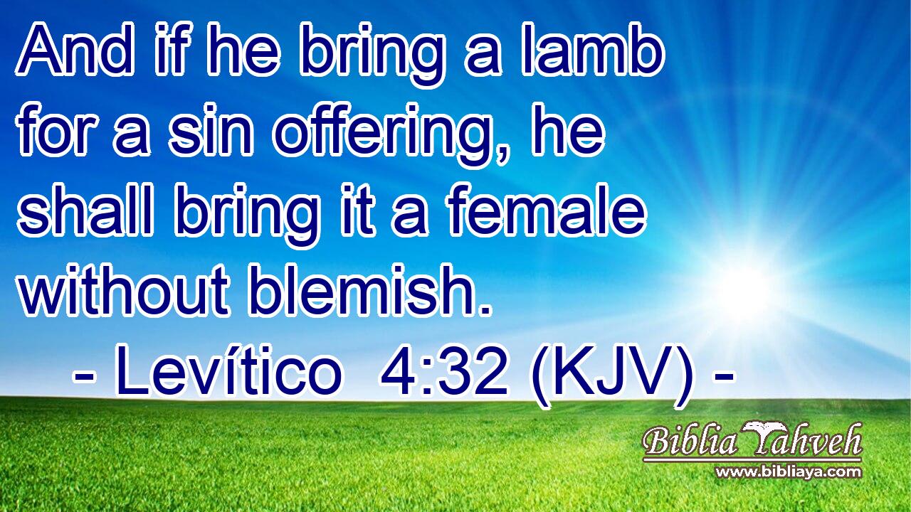 And if he bring a lamb for a sin offering, he shall bring it a female without blemish.