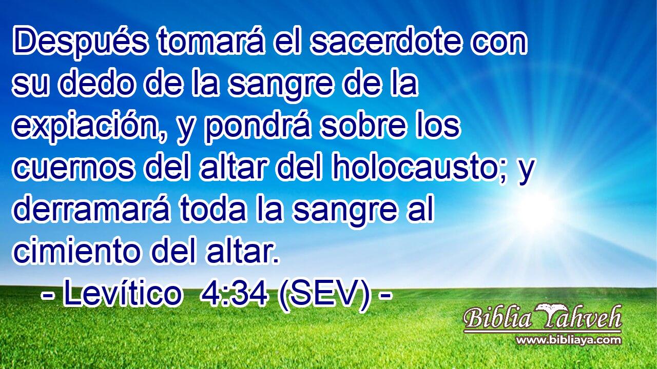 Después tomará el sacerdote con su dedo de la sangre de la expiación, y pondrá sobre los cuernos del altar del holocausto; y derramará toda la sangre al cimiento del altar.
