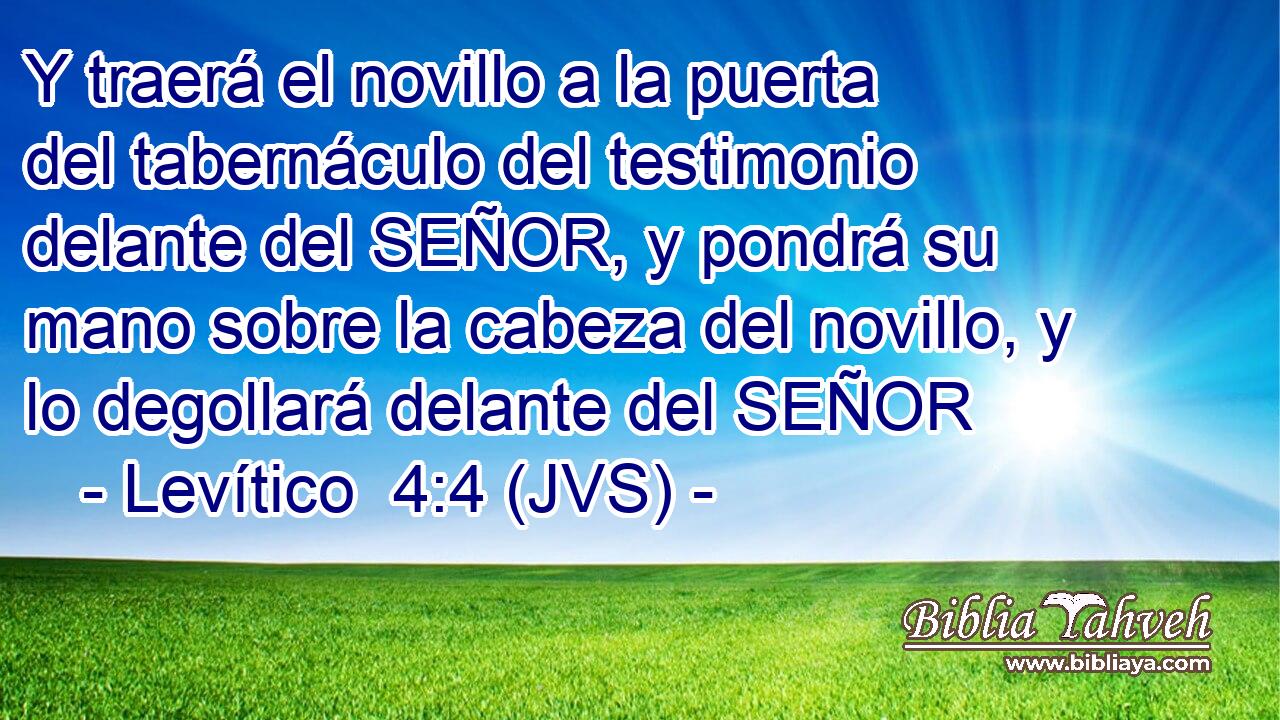 Y traerá el novillo a la puerta del tabernáculo del testimonio delante del SEÑOR, y pondrá su mano sobre la cabeza del novillo, y lo degollará delante del SEÑOR
