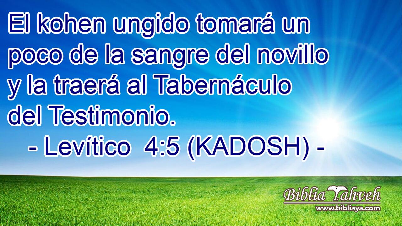  El kohen ungido tomará un poco de la sangre del novillo y la traerá al Tabernáculo del Testimonio. 