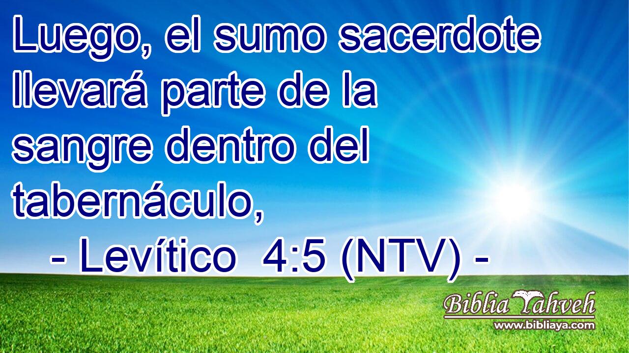 Luego, el sumo sacerdote llevará parte de la sangre dentro del tabernáculo,