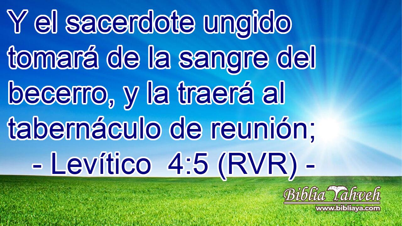 Y el sacerdote ungido tomará de la sangre del becerro, y la traerá al tabernáculo de reunión;