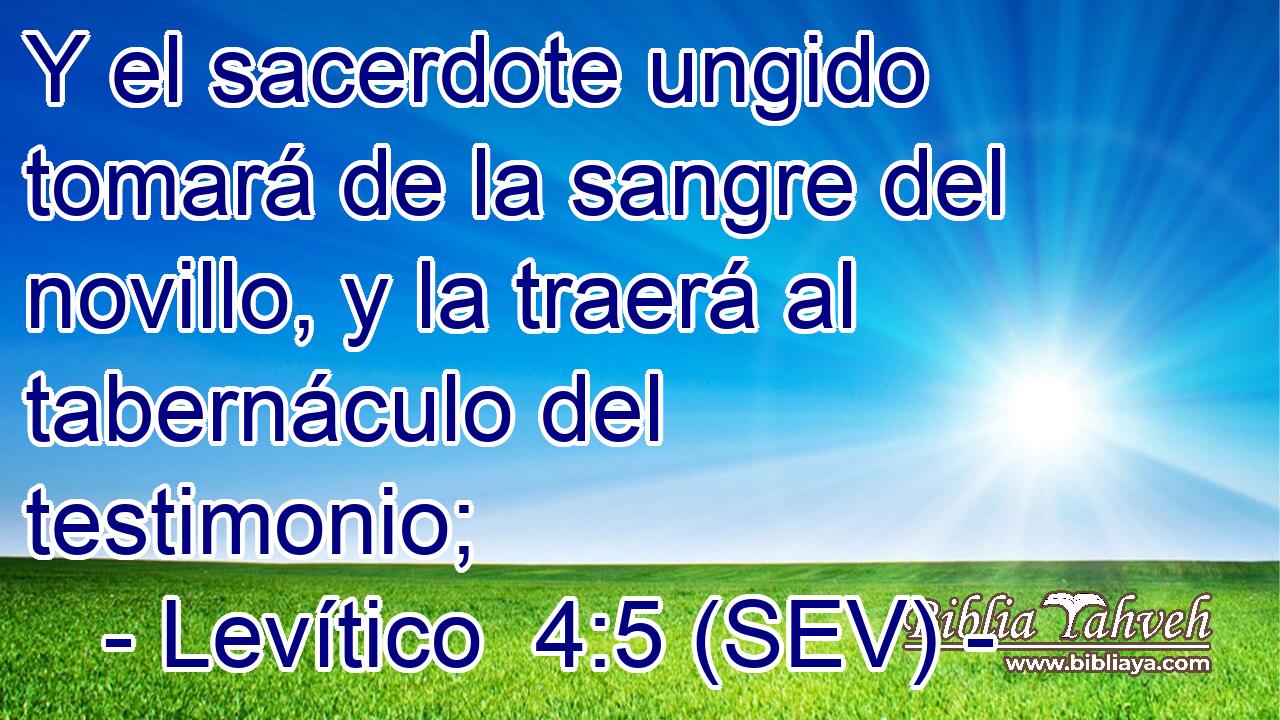 Y el sacerdote ungido tomará de la sangre del novillo, y la traerá al tabernáculo del testimonio;