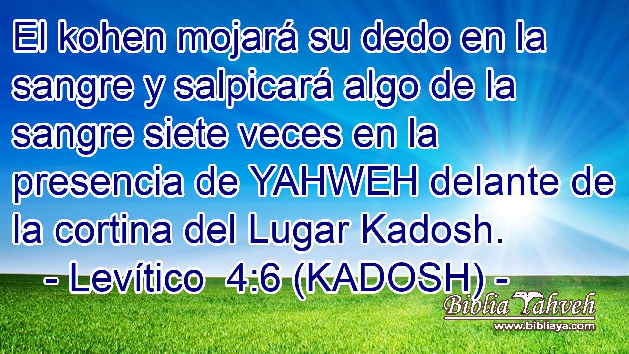  El kohen mojará su dedo en la sangre y salpicará algo de la sangre siete veces en la presencia de YAHWEH delante de la cortina del Lugar Kadosh. 
