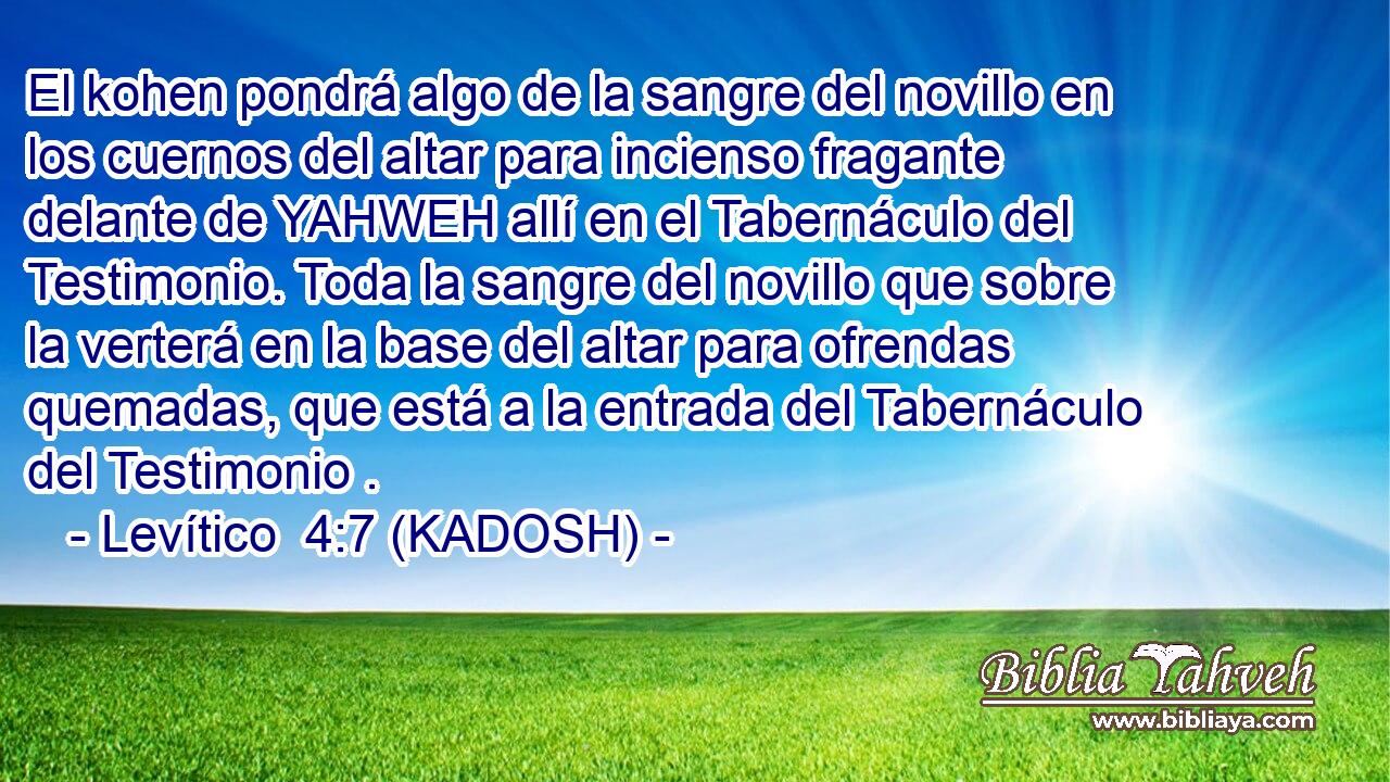  El kohen pondrá algo de la sangre del novillo en los cuernos del altar para incienso fragante delante de YAHWEH allí en el Tabernáculo del Testimonio. Toda la sangre del novillo que sobre la verterá en la base del altar para ofrendas quemadas, que está a la entrada del Tabernáculo del Testimonio . 