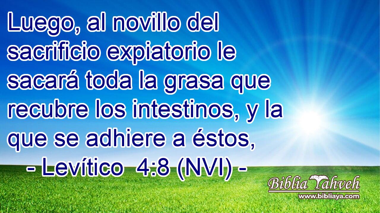  Luego, al novillo del sacrificio expiatorio le sacará toda la grasa que recubre los intestinos, y la que se adhiere a éstos, 