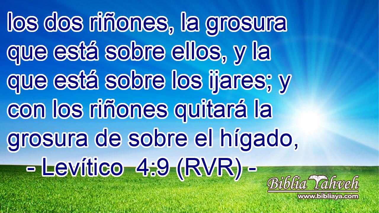 los dos riñones, la grosura que está sobre ellos, y la que está sobre los ijares; y con los riñones quitará la grosura de sobre el hígado,