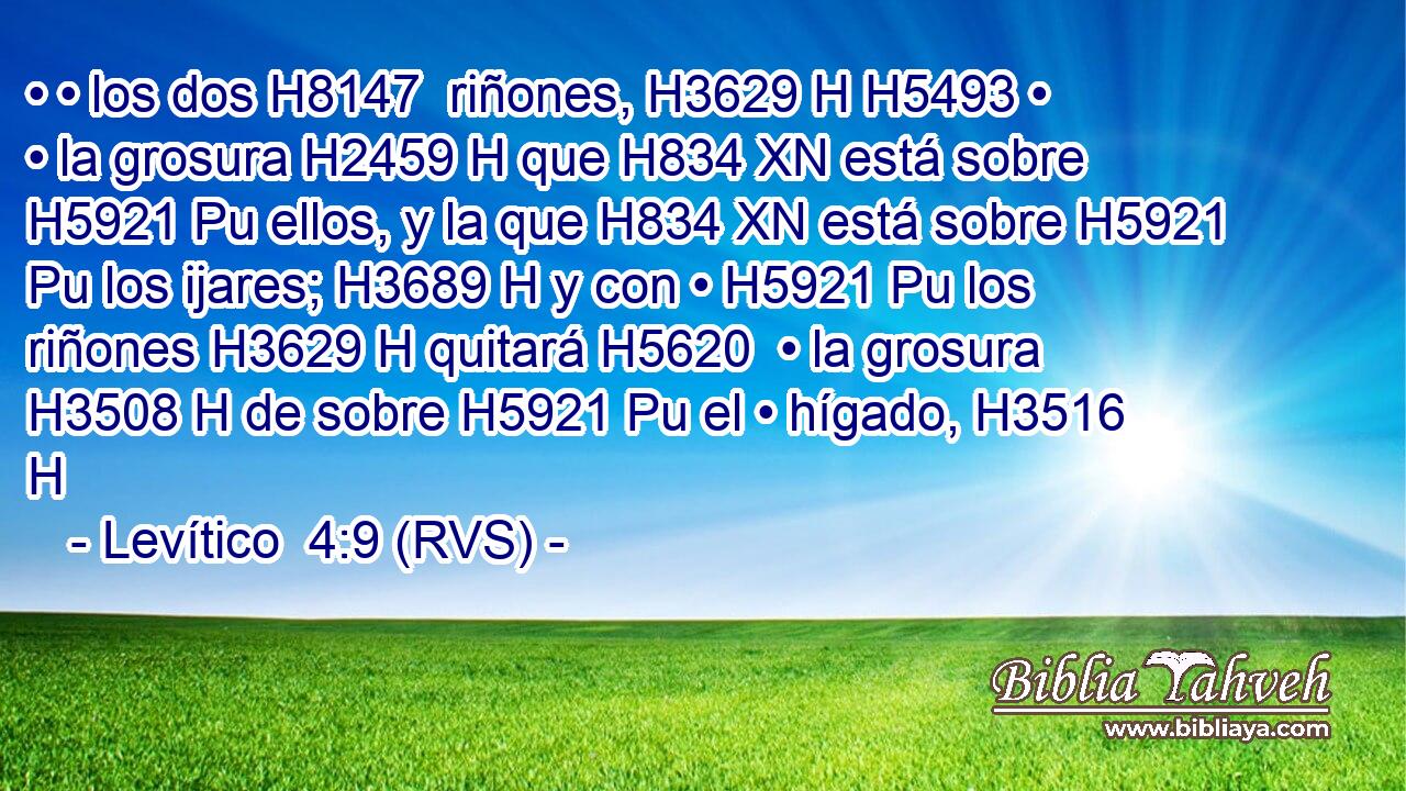 • • los dos H8147  riñones, H3629 H H5493 • • la grosura H2459 H que H834 XN está sobre H5921 Pu ellos, y la que H834 XN está sobre H5921 Pu los ijares; H3689 H y con • H5921 Pu los riñones H3629 H quitará H5620  • la grosura H3508 H de sobre H5921 Pu el • hígado, H3516 H 