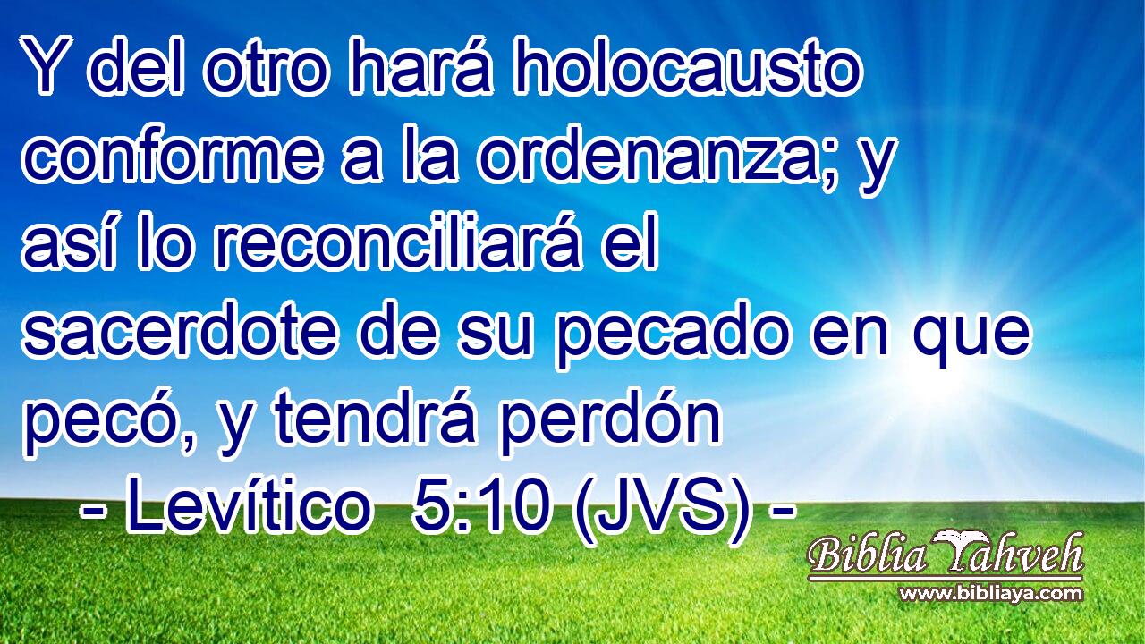 Y del otro hará holocausto conforme a la ordenanza; y así lo reconciliará el sacerdote de su pecado en que pecó, y tendrá perdón