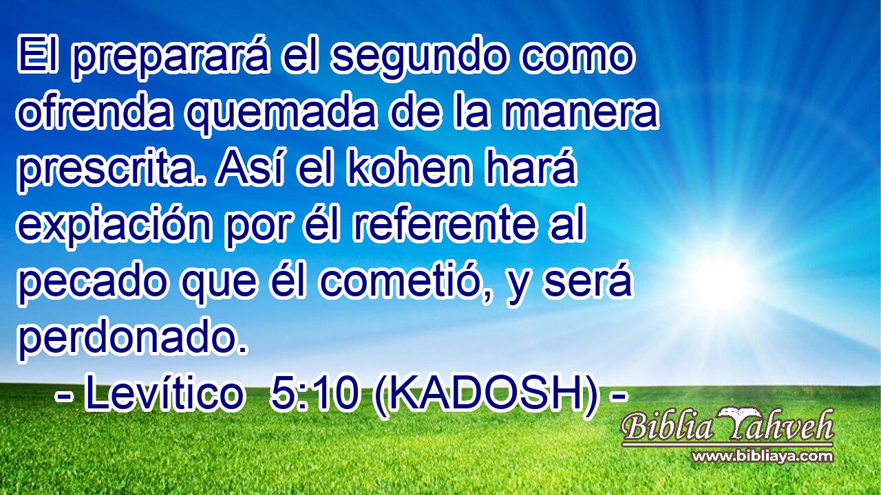  El preparará el segundo como ofrenda quemada de la manera prescrita. Así el kohen hará expiación por él referente al pecado que él cometió, y será perdonado. 