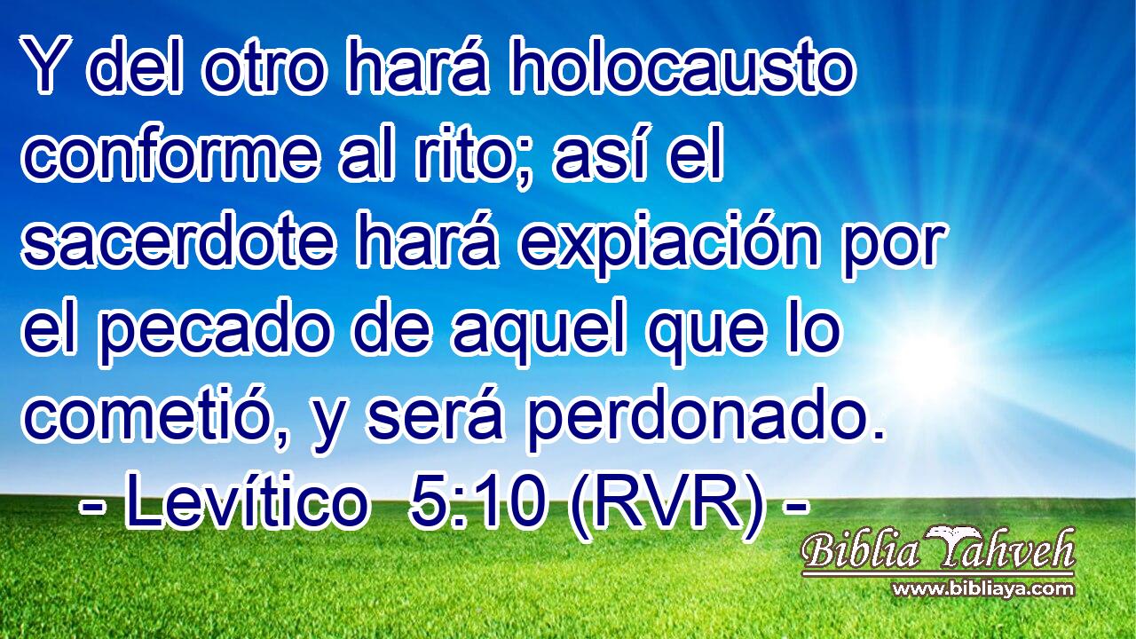 Y del otro hará holocausto conforme al rito; así el sacerdote hará expiación por el pecado de aquel que lo cometió, y será perdonado.
