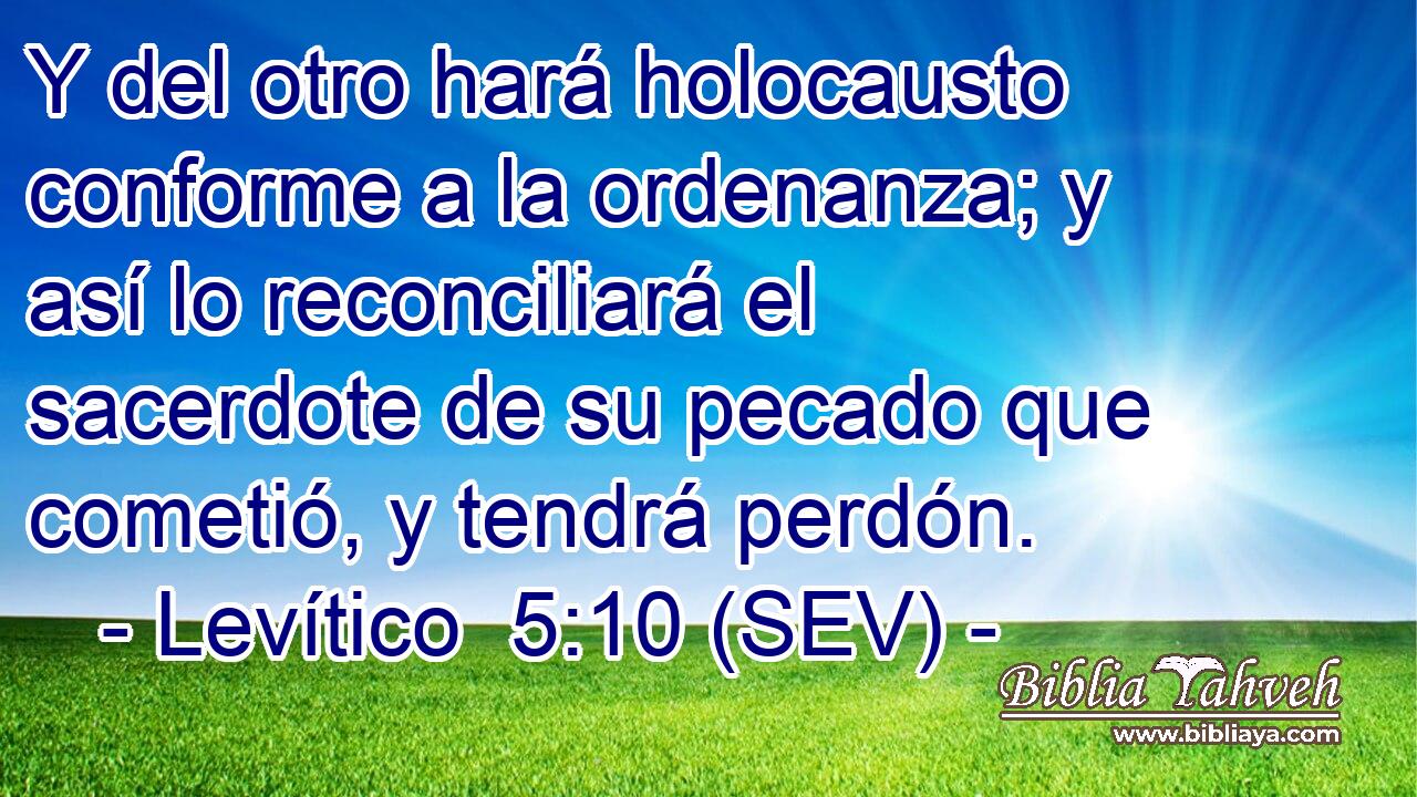 Y del otro hará holocausto conforme a la ordenanza; y así lo reconciliará el sacerdote de su pecado que cometió, y tendrá perdón.