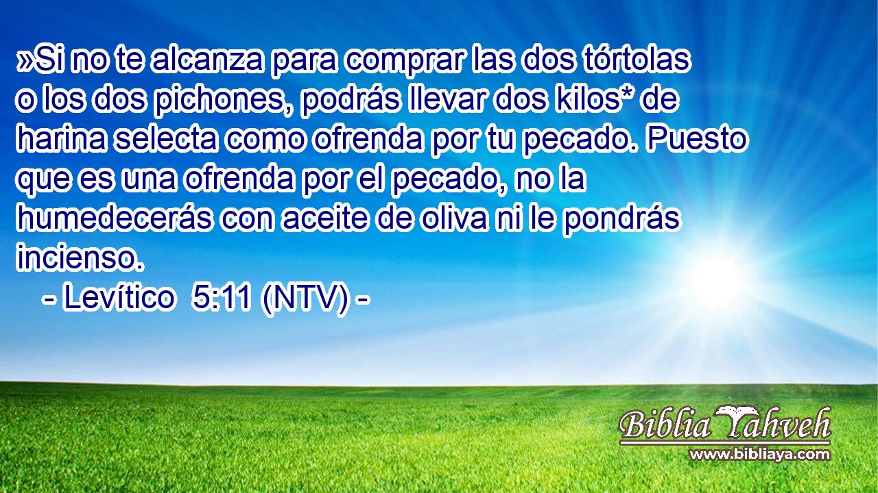 »Si no te alcanza para comprar las dos tórtolas o los dos pichones, podrás llevar dos kilos* de harina selecta como ofrenda por tu pecado. Puesto que es una ofrenda por el pecado, no la humedecerás con aceite de oliva ni le pondrás incienso.