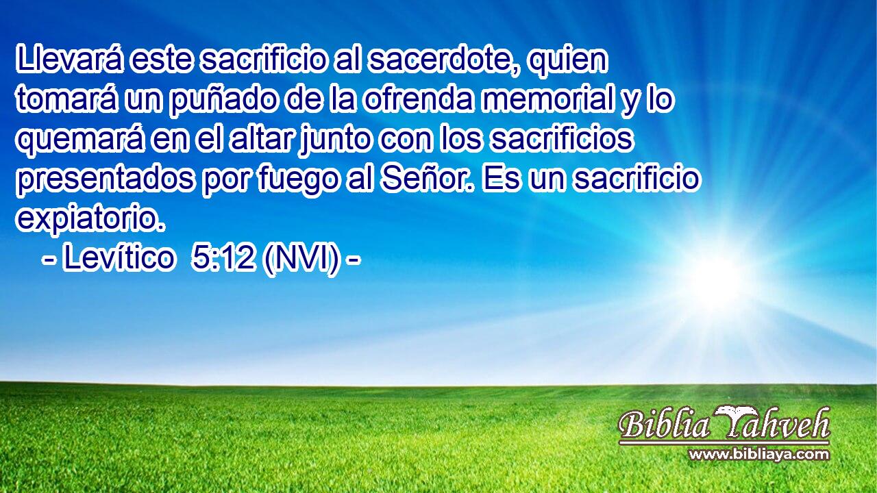  Llevará este sacrificio al sacerdote, quien tomará un puñado de la ofrenda memorial y lo quemará en el altar junto con los sacrificios presentados por fuego al Señor. Es un sacrificio expiatorio. 