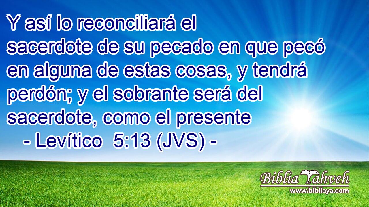 Y así lo reconciliará el sacerdote de su pecado en que pecó en alguna de estas cosas, y tendrá perdón; y el sobrante será del sacerdote, como el presente