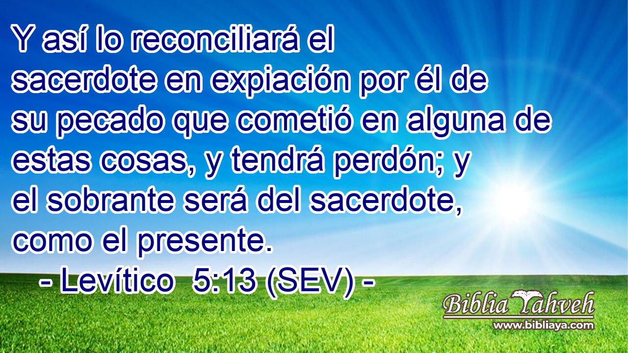 Y así lo reconciliará el sacerdote en expiación por él de su pecado que cometió en alguna de estas cosas, y tendrá perdón; y el sobrante será del sacerdote, como el presente.