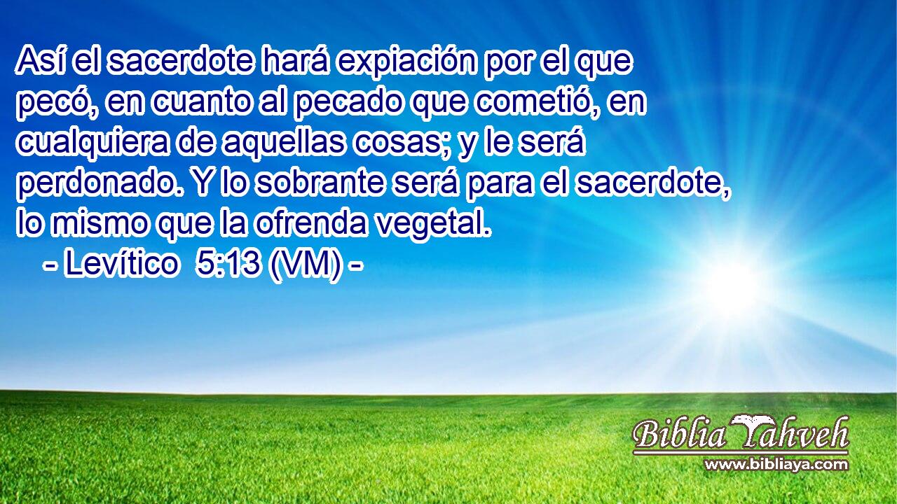  Así el sacerdote hará expiación por el que pecó, en cuanto al pecado que cometió, en cualquiera de aquellas cosas; y le será perdonado. Y lo sobrante será para el sacerdote, lo mismo que la ofrenda vegetal. 