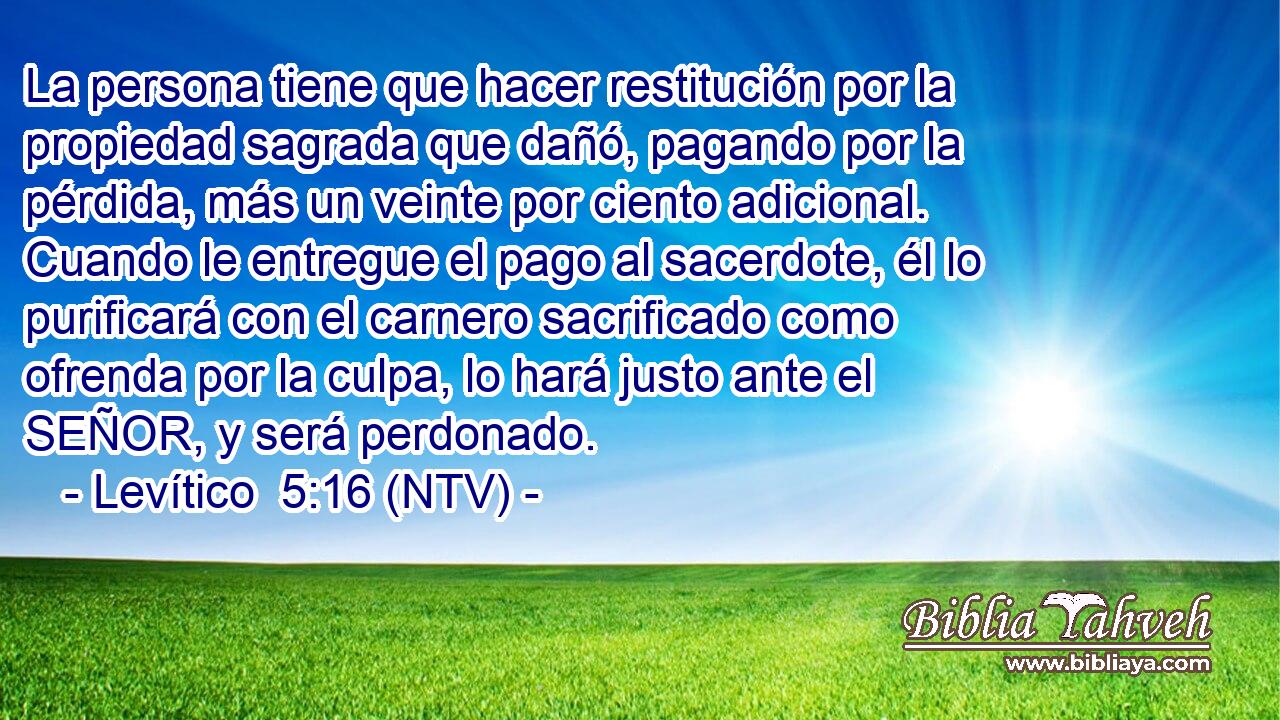 La persona tiene que hacer restitución por la propiedad sagrada que dañó, pagando por la pérdida, más un veinte por ciento adicional. Cuando le entregue el pago al sacerdote, él lo purificará con el carnero sacrificado como ofrenda por la culpa, lo hará justo ante el SEÑOR, y será perdonado.