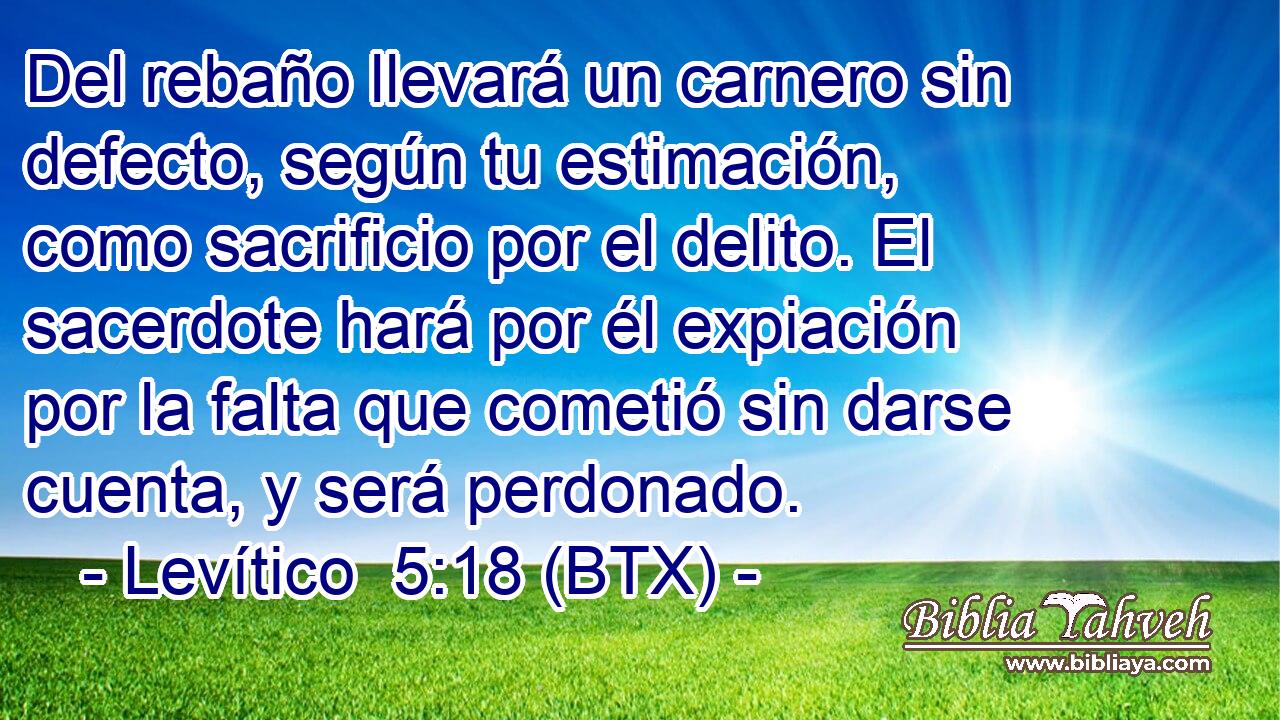Del rebaño llevará un carnero sin defecto, según tu estimación, como sacrificio por el delito. El sacerdote hará por él expiación por la falta que cometió sin darse cuenta, y será perdonado.