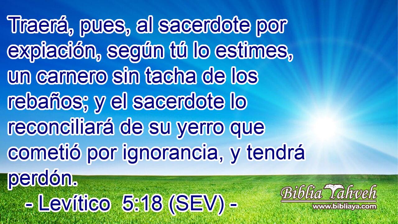 Traerá, pues, al sacerdote por expiación, según tú lo estimes, un carnero sin tacha de los rebaños; y el sacerdote lo reconciliará de su yerro que cometió por ignorancia, y tendrá perdón.