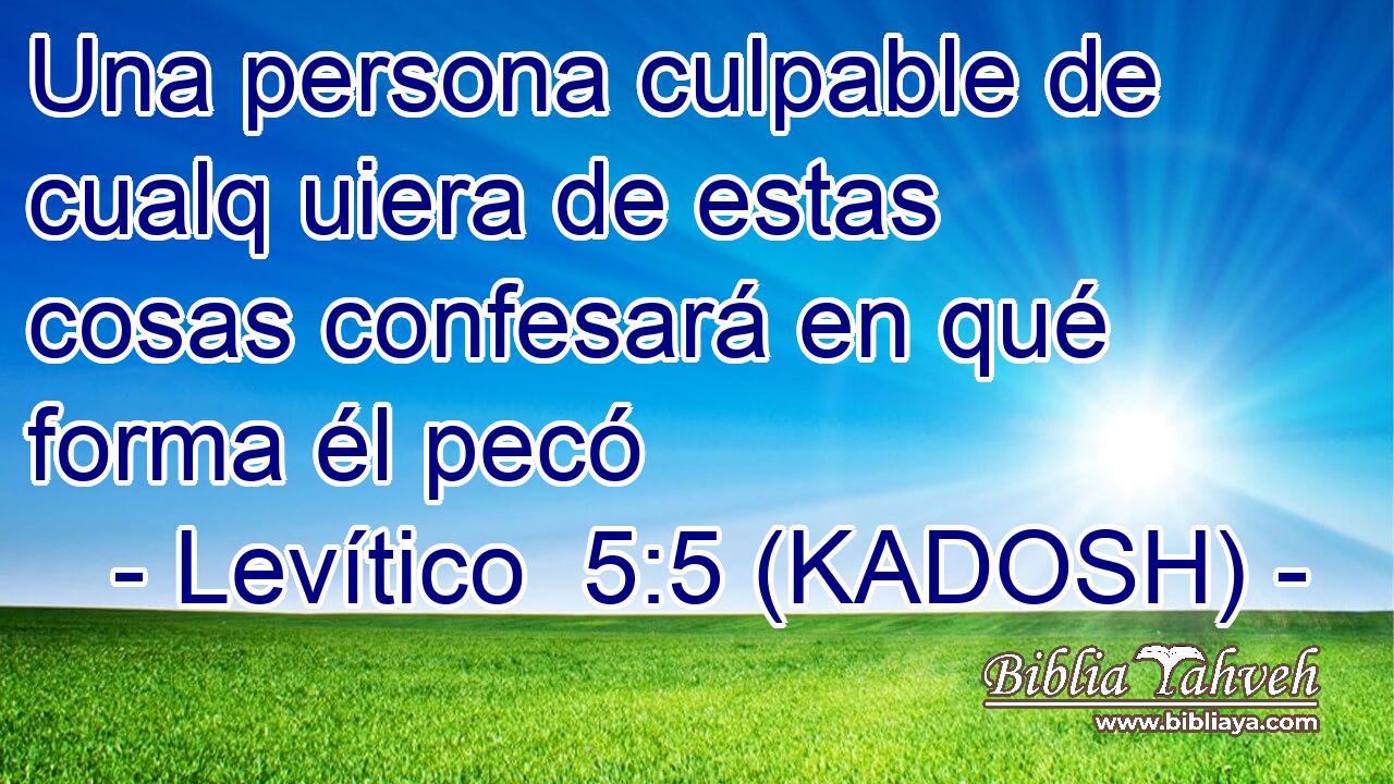  Una persona culpable de cualq uiera de estas cosas confesará en qué forma él pecó 
