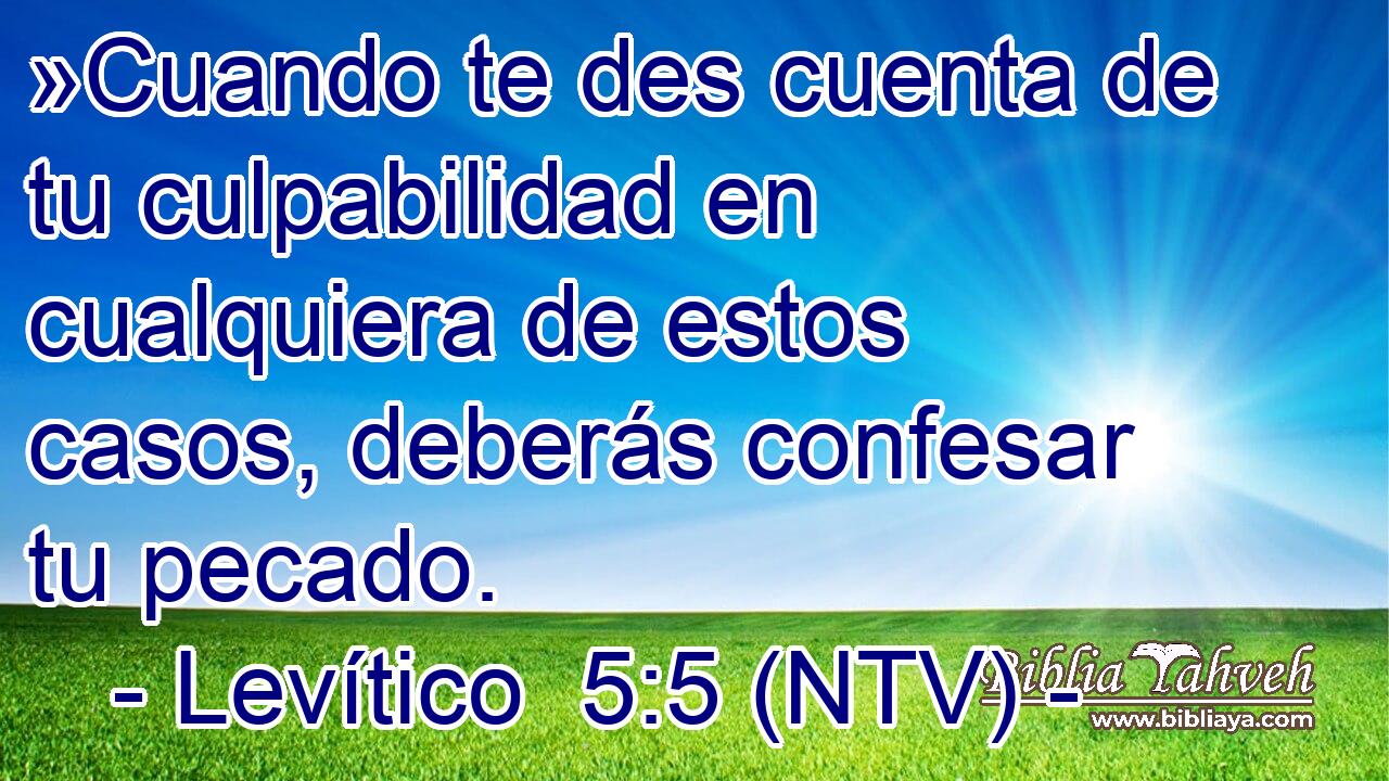 »Cuando te des cuenta de tu culpabilidad en cualquiera de estos casos, deberás confesar tu pecado.