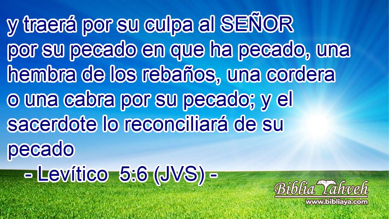 y traerá por su culpa al SEÑOR por su pecado en que ha pecado, una hembra de los rebaños, una cordera o una cabra por su pecado; y el sacerdote lo reconciliará de su pecado