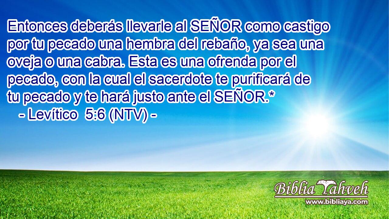 Entonces deberás llevarle al SEÑOR como castigo por tu pecado una hembra del rebaño, ya sea una oveja o una cabra. Esta es una ofrenda por el pecado, con la cual el sacerdote te purificará de tu pecado y te hará justo ante el SEÑOR.*
