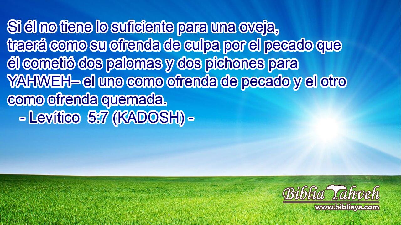  Si él no tiene lo suficiente para una oveja, traerá como su ofrenda de culpa por el pecado que él cometió dos palomas y dos pichones para YAHWEH– el uno como ofrenda de pecado y el otro como ofrenda quemada. 