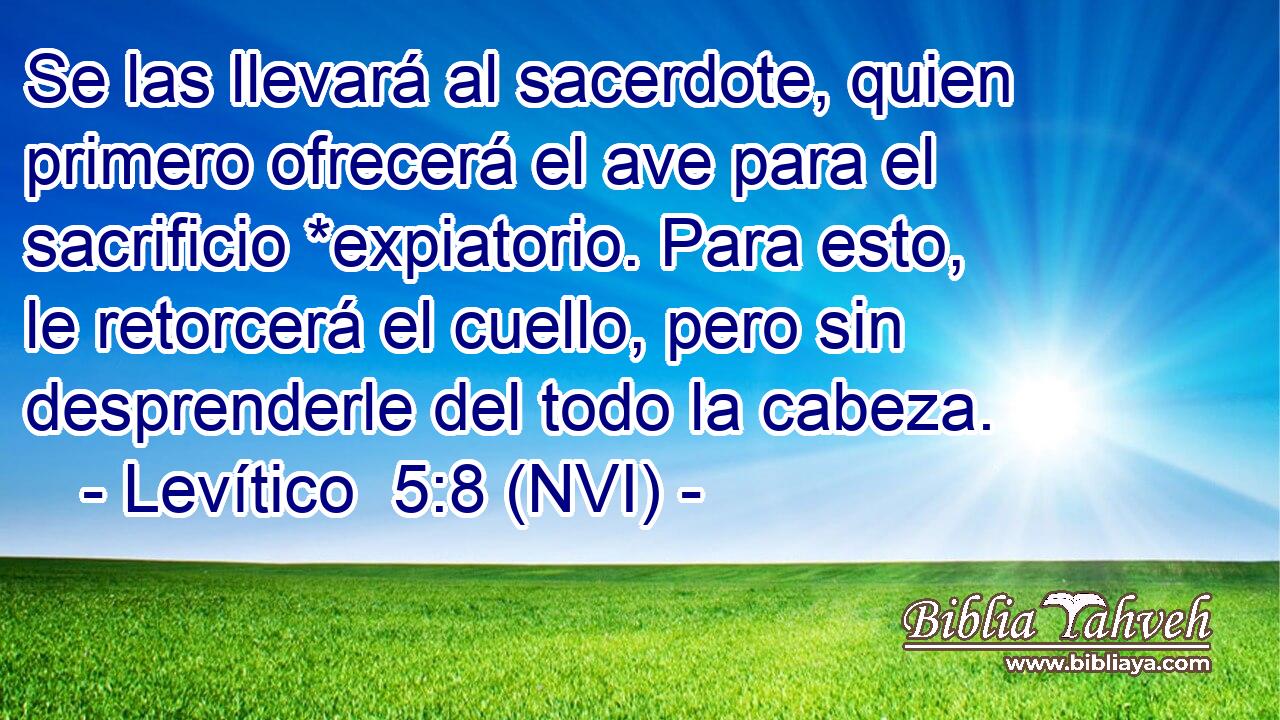  Se las llevará al sacerdote, quien primero ofrecerá el ave para el sacrificio *expiatorio. Para esto, le retorcerá el cuello, pero sin desprenderle del todo la cabeza. 