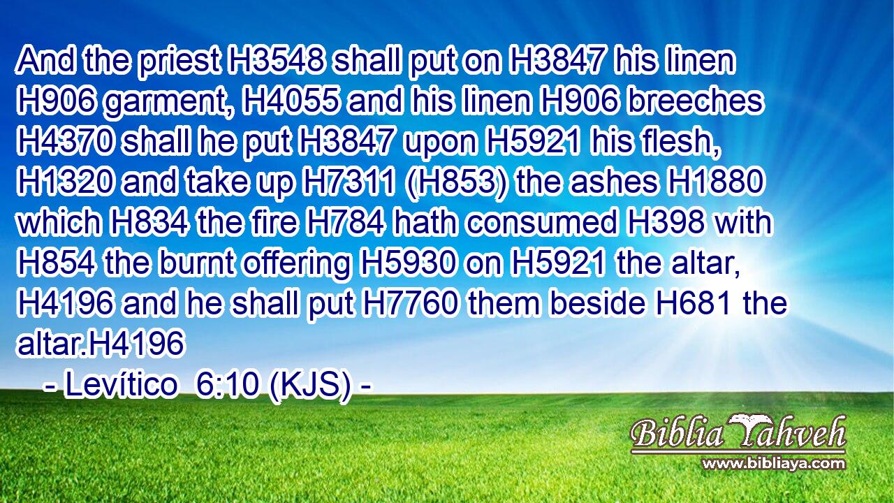 And the priest H3548 shall put on H3847 his linen H906 garment, H4055 and his linen H906 breeches H4370 shall he put H3847 upon H5921 his flesh, H1320 and take up H7311 (H853) the ashes H1880 which H834 the fire H784 hath consumed H398 with H854 the burnt offering H5930 on H5921 the altar, H4196 and he shall put H7760 them beside H681 the altar.H4196