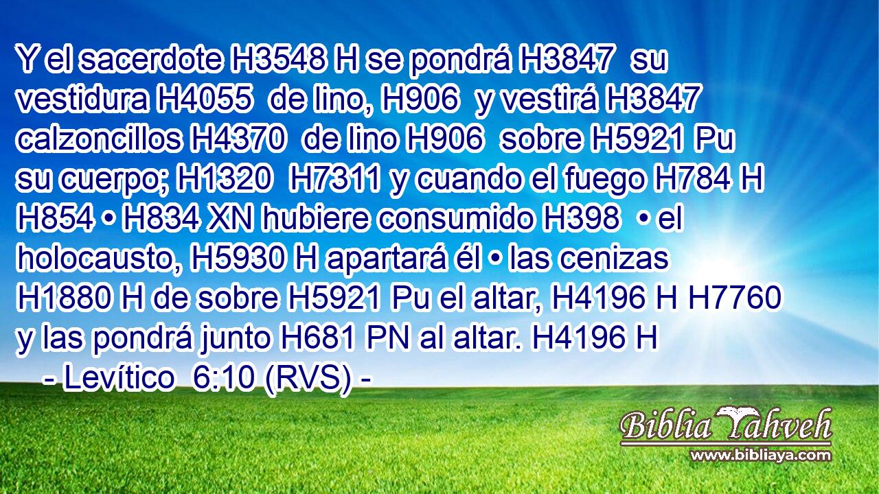 Y el sacerdote H3548 H se pondrá H3847  su vestidura H4055  de lino, H906  y vestirá H3847  calzoncillos H4370  de lino H906  sobre H5921 Pu su cuerpo; H1320  H7311 y cuando el fuego H784 H H854 • H834 XN hubiere consumido H398  • el holocausto, H5930 H apartará él • las cenizas H1880 H de sobre H5921 Pu el altar, H4196 H H7760 y las pondrá junto H681 PN al altar. H4196 H 