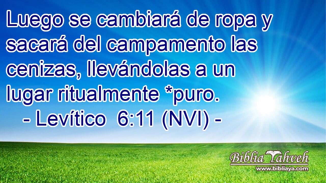  Luego se cambiará de ropa y sacará del campamento las cenizas, llevándolas a un lugar ritualmente *puro. 