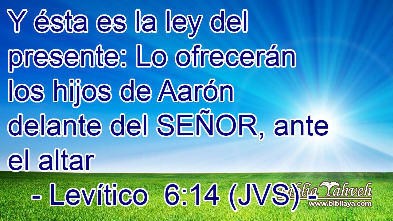 Y ésta es la ley del presente: Lo ofrecerán los hijos de Aarón delante del SEÑOR, ante el altar