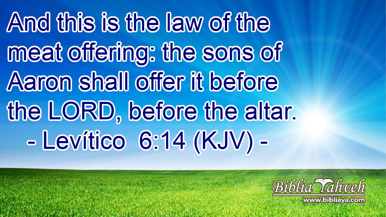 And this is the law of the meat offering: the sons of Aaron shall offer it before the LORD, before the altar.