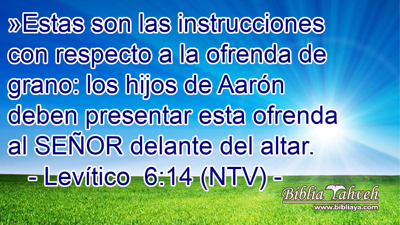 »Estas son las instrucciones con respecto a la ofrenda de grano: los hijos de Aarón deben presentar esta ofrenda al SEÑOR delante del altar.