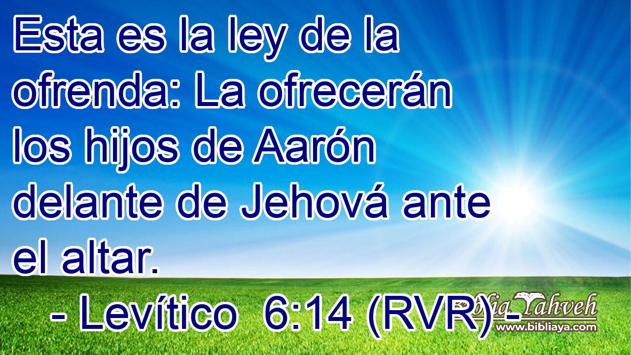 Esta es la ley de la ofrenda: La ofrecerán los hijos de Aarón delante de Jehová ante el altar.