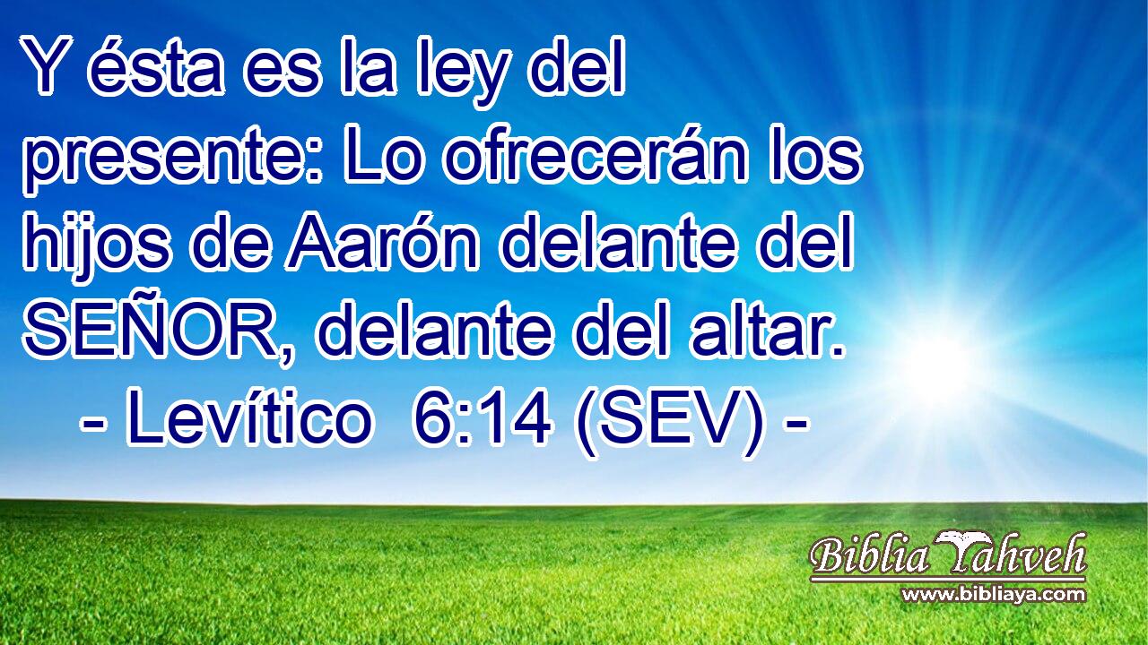 Y ésta es la ley del presente: Lo ofrecerán los hijos de Aarón delante del SEÑOR, delante del altar.