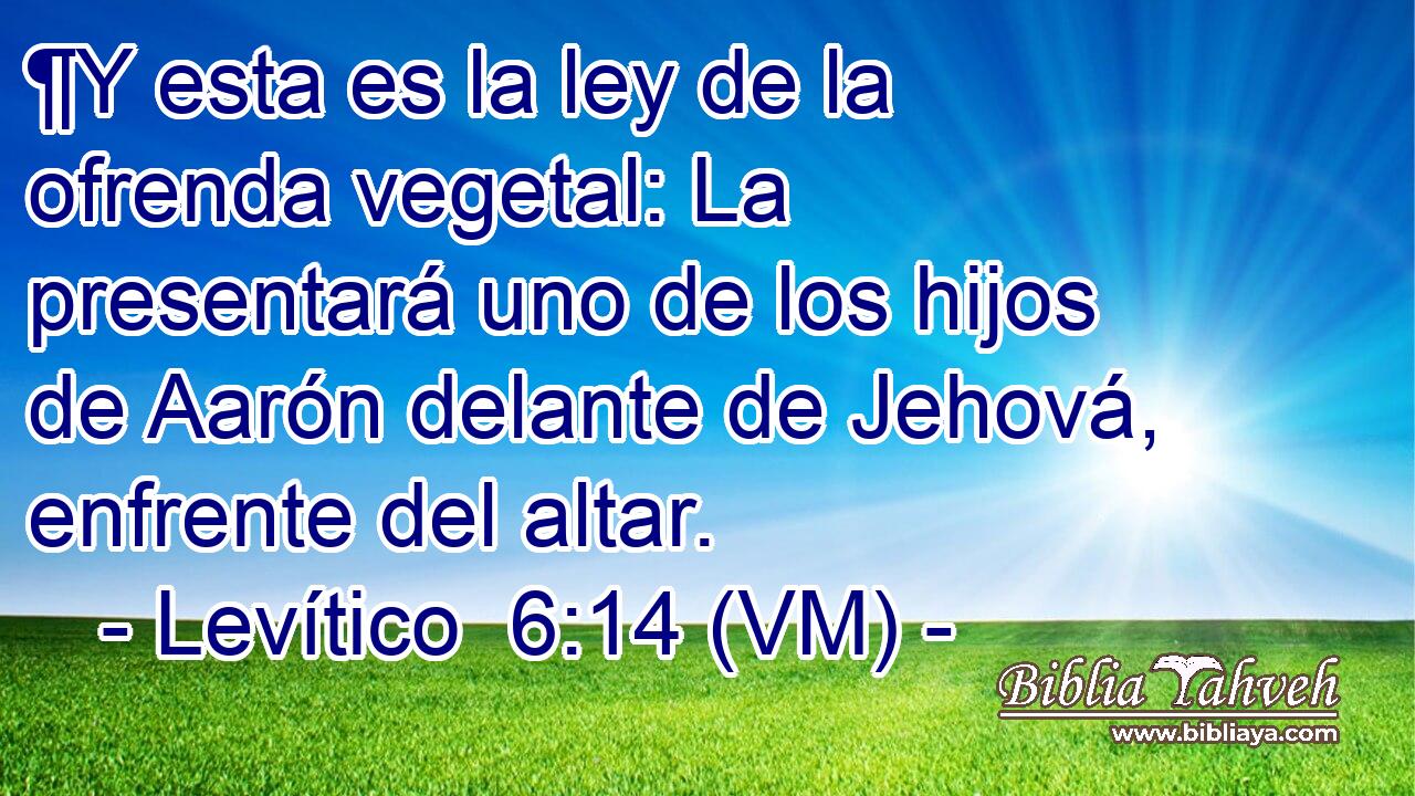  ¶Y esta es la ley de la ofrenda vegetal: La presentará uno de los hijos de Aarón delante de Jehová, enfrente del altar. 