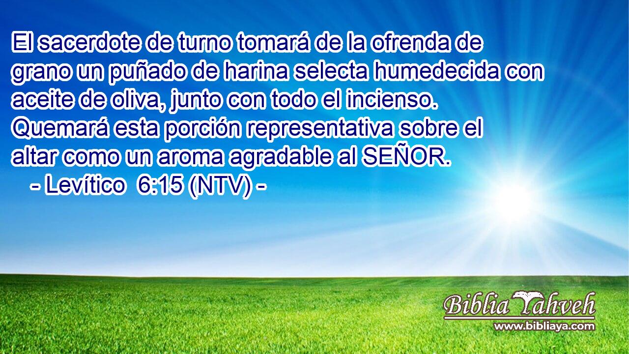 El sacerdote de turno tomará de la ofrenda de grano un puñado de harina selecta humedecida con aceite de oliva, junto con todo el incienso. Quemará esta porción representativa sobre el altar como un aroma agradable al SEÑOR.