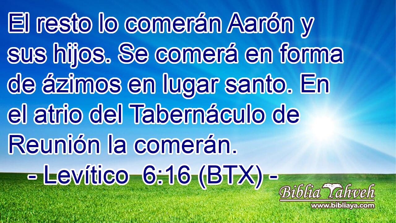 El resto lo comerán Aarón y sus hijos. Se comerá en forma de ázimos en lugar santo. En el atrio del Tabernáculo de Reunión la comerán.