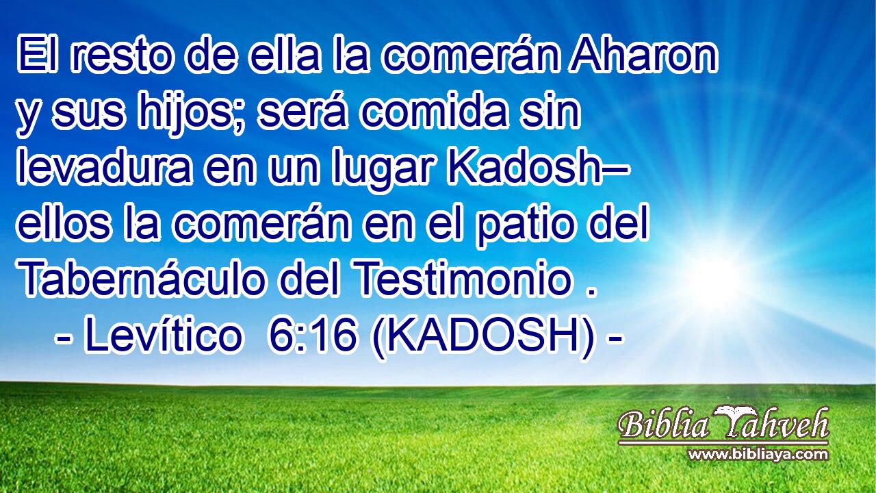  El resto de ella la comerán Aharon y sus hijos; será comida sin levadura en un lugar Kadosh– ellos la comerán en el patio del Tabernáculo del Testimonio . 