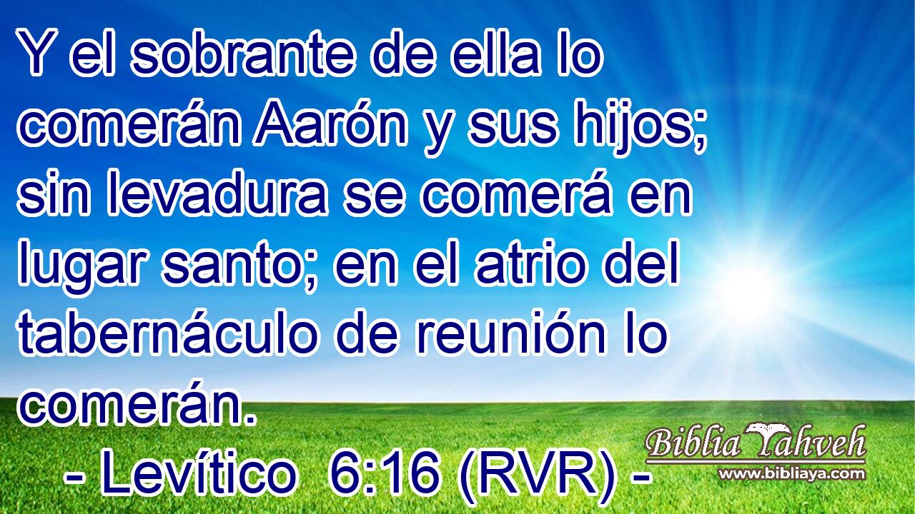 Y el sobrante de ella lo comerán Aarón y sus hijos; sin levadura se comerá en lugar santo; en el atrio del tabernáculo de reunión lo comerán.
