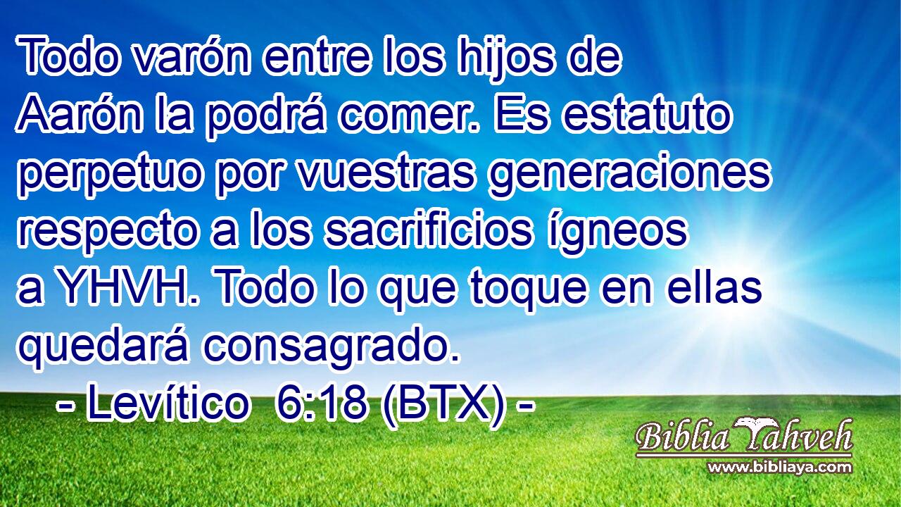 Todo varón entre los hijos de Aarón la podrá comer. Es estatuto perpetuo por vuestras generaciones respecto a los sacrificios ígneos a YHVH. Todo lo que toque en ellas quedará consagrado.