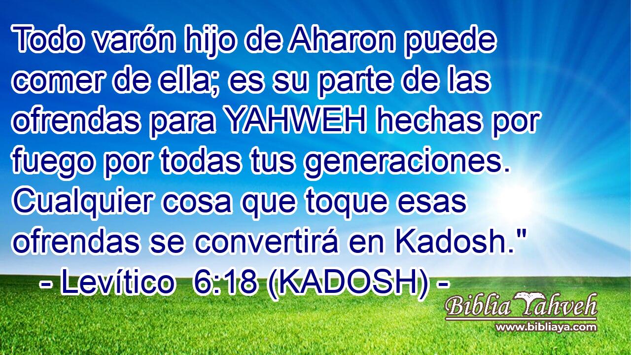  Todo varón hijo de Aharon puede comer de ella; es su parte de las ofrendas para YAHWEH hechas por fuego por todas tus generaciones. Cualquier cosa que toque esas ofrendas se convertirá en Kadosh.