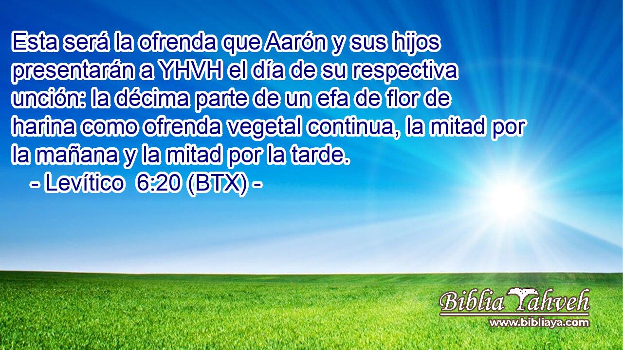 Esta será la ofrenda que Aarón y sus hijos presentarán a YHVH el día de su respectiva unción: la décima parte de un efa de flor de harina como ofrenda vegetal continua, la mitad por la mañana y la mitad por la tarde.