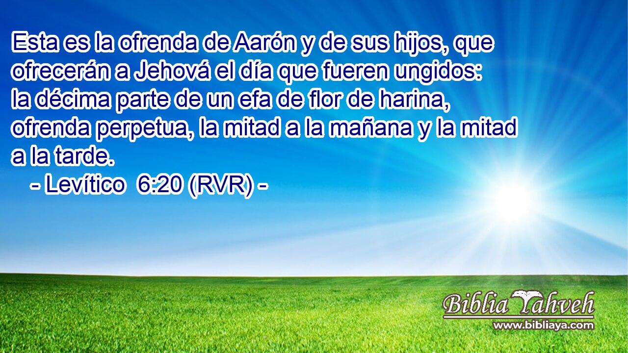Esta es la ofrenda de Aarón y de sus hijos, que ofrecerán a Jehová el día que fueren ungidos: la décima parte de un efa de flor de harina, ofrenda perpetua, la mitad a la mañana y la mitad a la tarde.