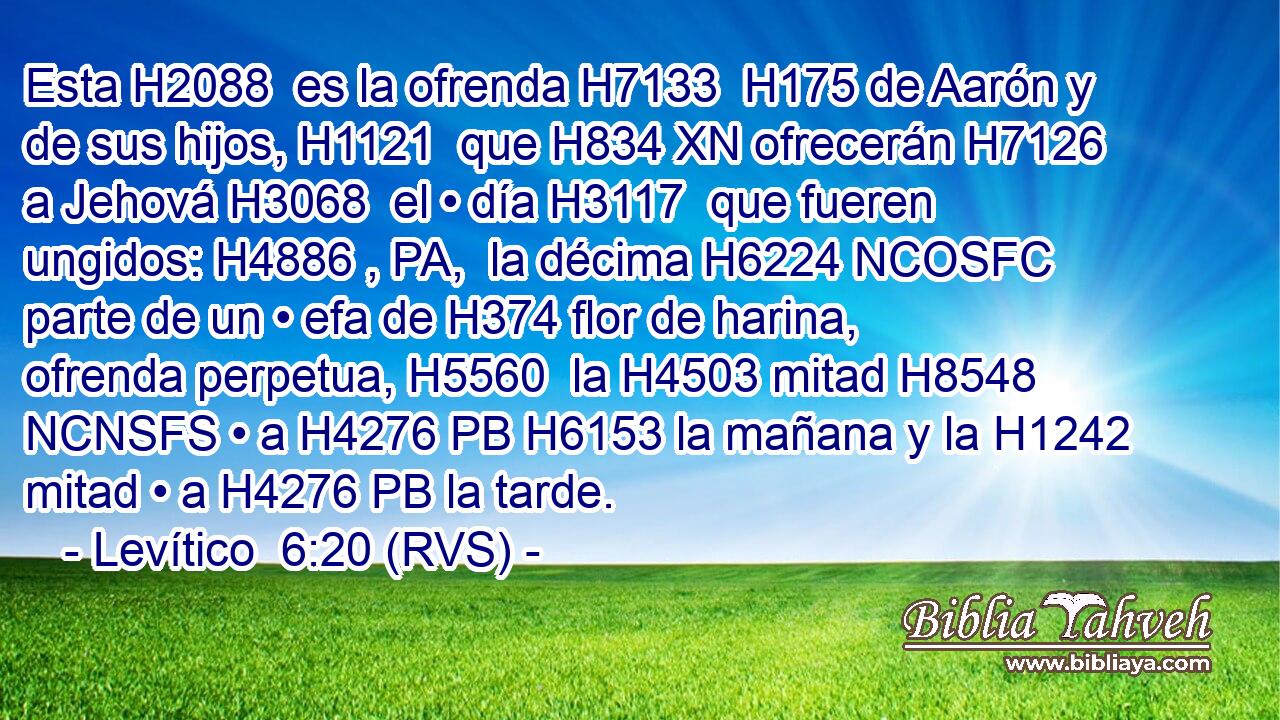 Esta H2088  es la ofrenda H7133  H175 de Aarón y de sus hijos, H1121  que H834 XN ofrecerán H7126  a Jehová H3068  el • día H3117  que fueren ungidos: H4886 , PA,  la décima H6224 NCOSFC parte de un • efa de H374 flor de harina, ofrenda perpetua, H5560  la H4503 mitad H8548 NCNSFS • a H4276 PB H6153 la mañana y la H1242 mitad • a H4276 PB la tarde. 
